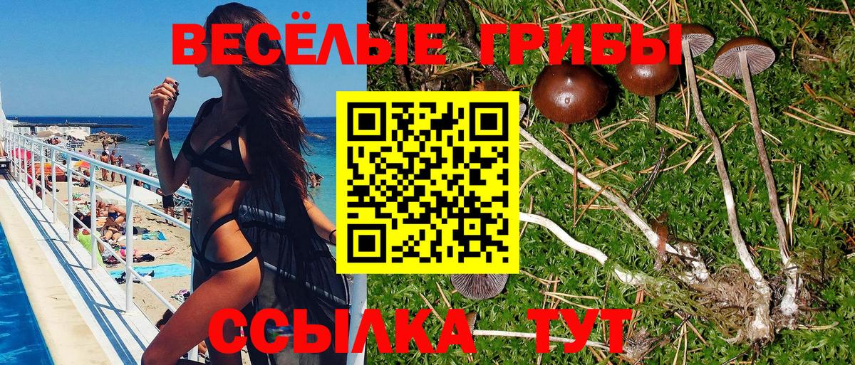 Галлюциногенные грибы Psilocybine cubensis  Вход с VPN  Кемерово 